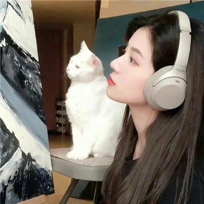 囧途追击